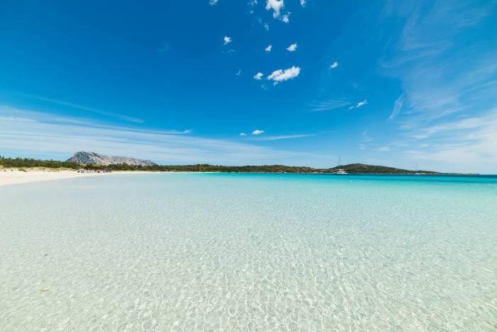 Olbia 53-11 Cin R3659 Apartment ภายนอก รูปภาพ